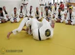 Inside the University 708 - Reverse Armbar from Butterfly Guard